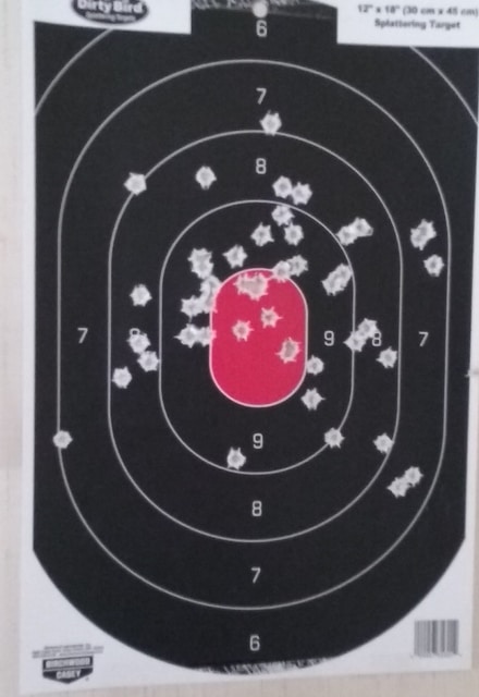 Rapid Fire, Pistol, (RH) @ 22 Yards