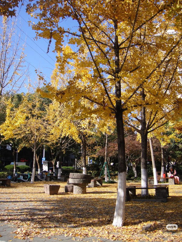 photo 4 2025 12 14 22 29 25