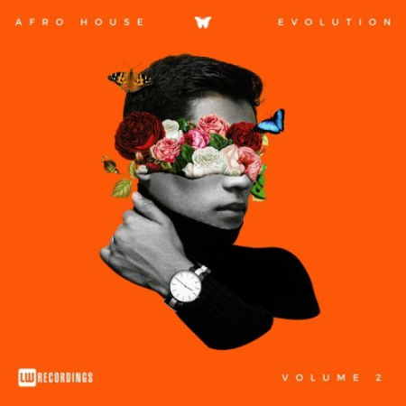 7711d26d 59ff 43da 820e d8033ba685b1 - VA - Afro House Evolution, Vol. 02 (2023)