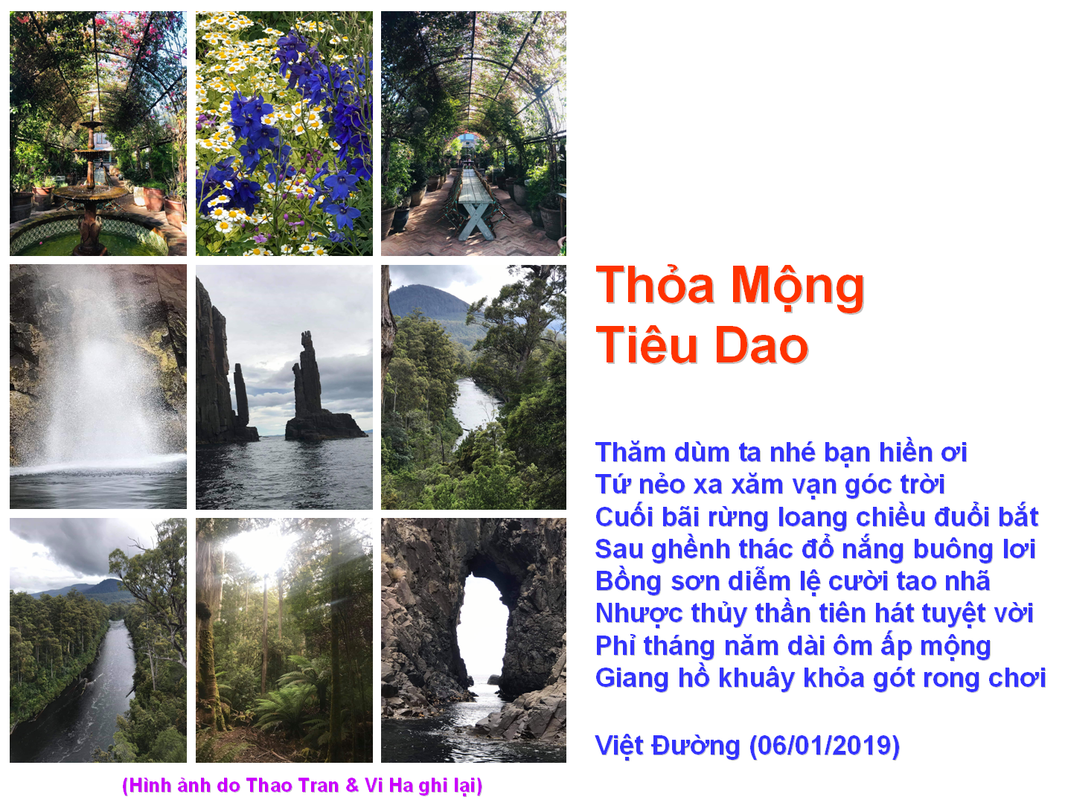 Những Đoá Từ Tâm - Page 64 Thoa-Mong-Tieu-Dao-Vntvnd