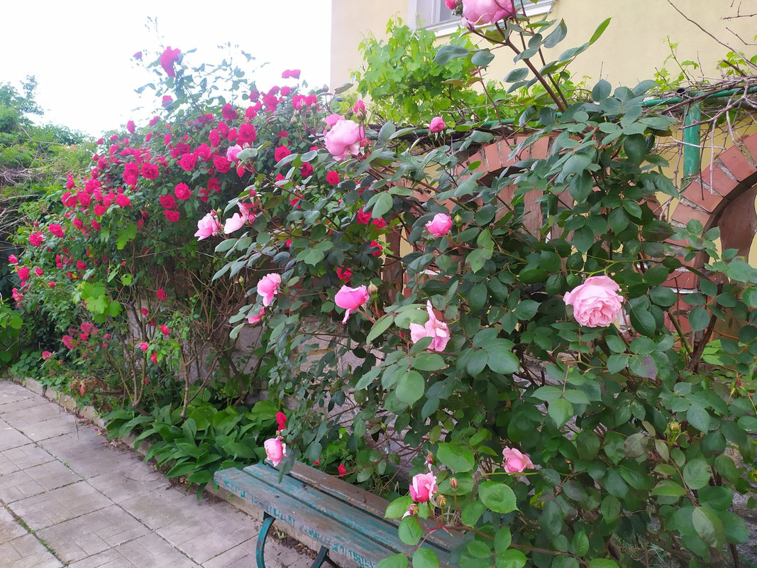 IMG_20240512_181138