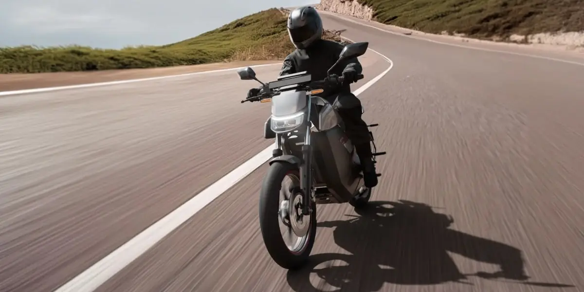 Ola Roadster Electric Bike