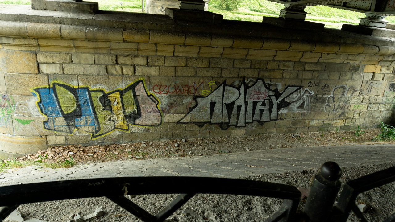 DSC07540.jpg