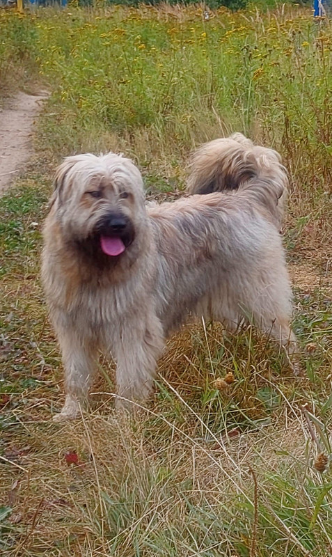 3FC9CB4F-A9C3-48AD-970E-1AD0F365DDAB