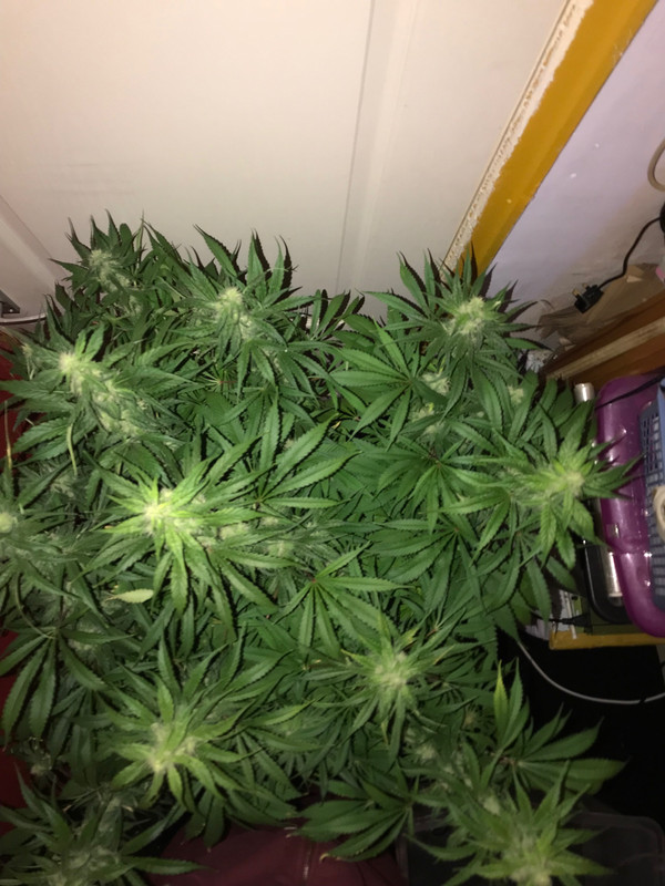 40F84BA5-D625-4459-AA72-AA39C2B45C94