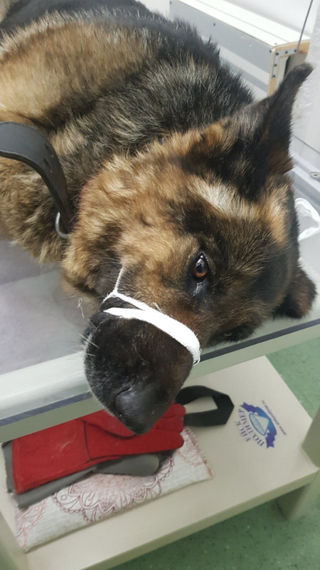 09933703-ABBD-423D-9E74-30169D1E472C