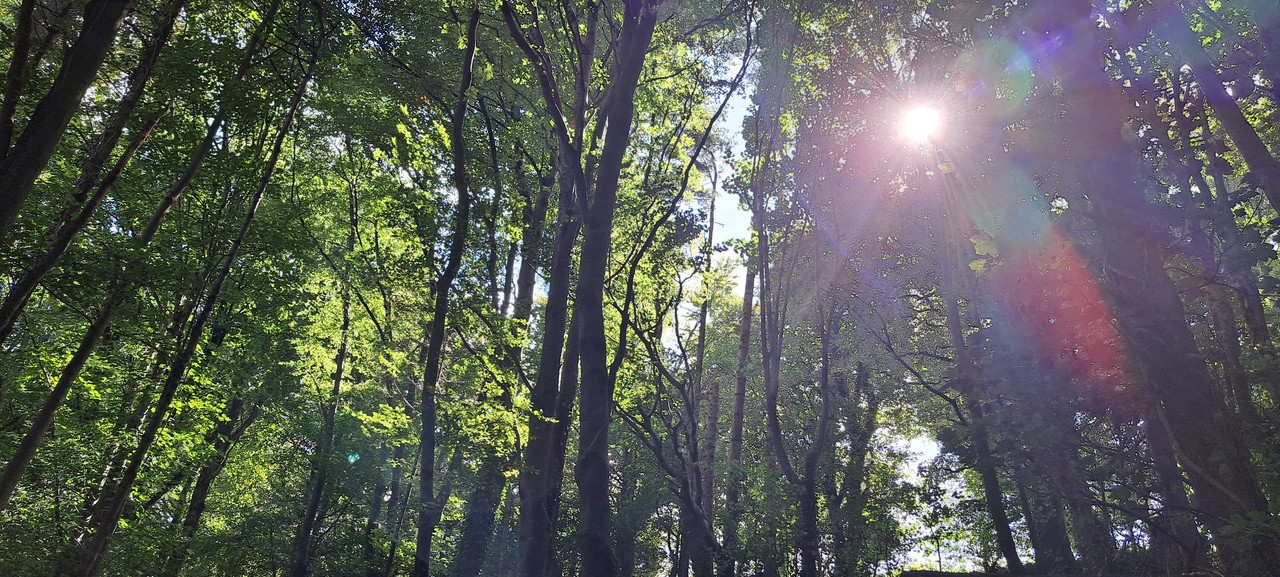 20250903-130339.jpg