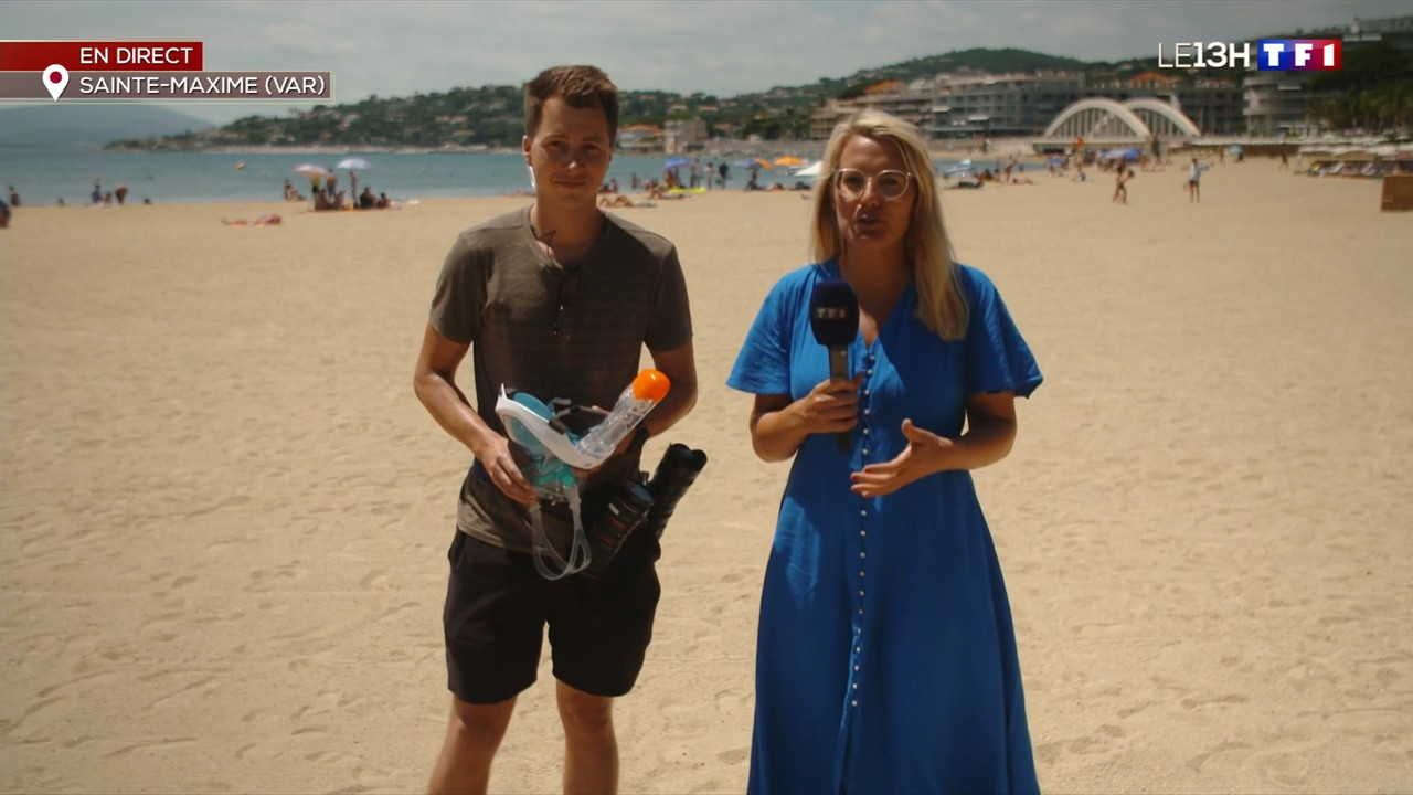 2022-07-12_13_00_TF1_Le-13h.mp4_snapshot_00.38.27.510