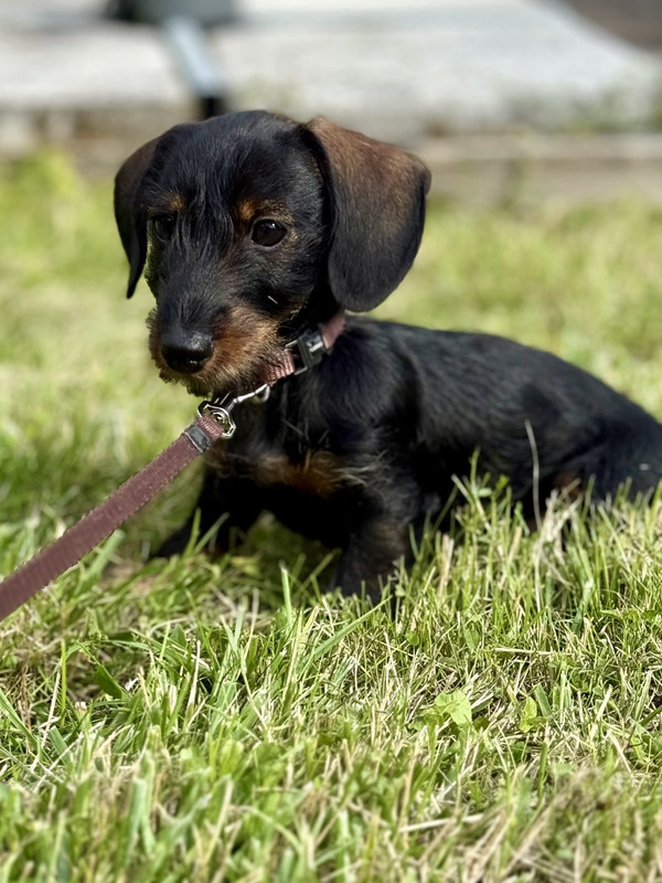 [Image: IMG-1849.jpg]