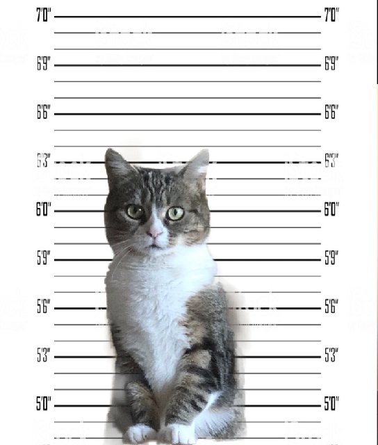 24-BC01-F4-7178-42-CC-ACBF-4-E30-D91219-