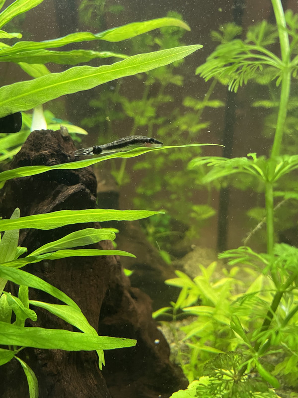 32C502AD-C95F-49FC-B4ED-E1CBC7197907