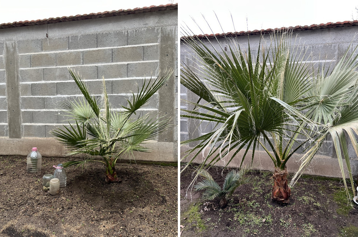 a4338a14-9ee8-4c9a-b09a-93971cfe8e27