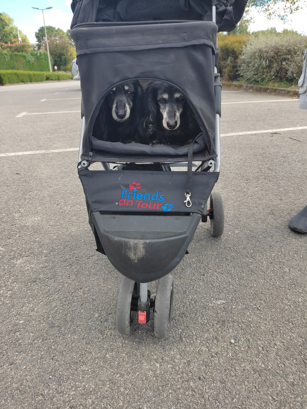 [Image: IMG-20220705-112131.jpg]