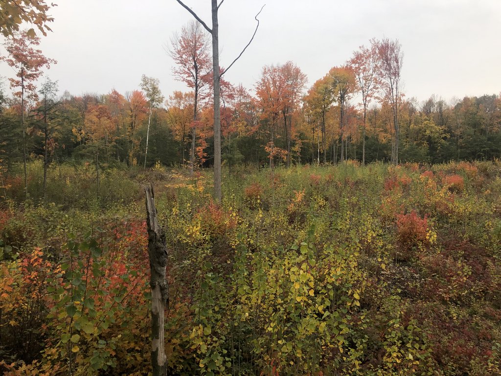 5F85A25F-CE9F-4294-BF94-C2FCD5A4DB52