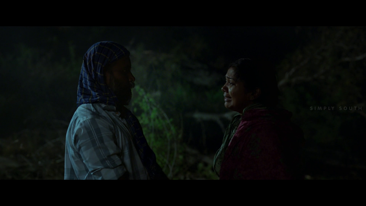 vlcsnap 2025 11 02 13h43m51s436