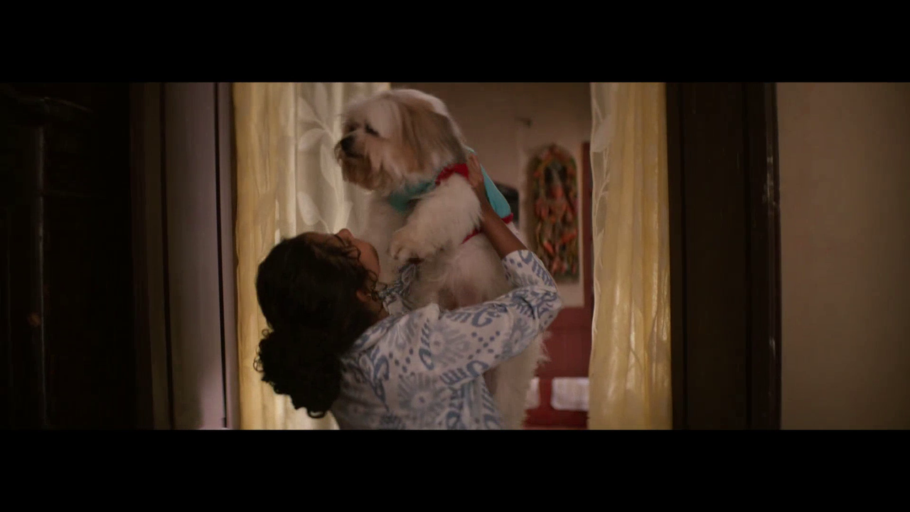 vlcsnap 2025 11 09 16h39m23s399