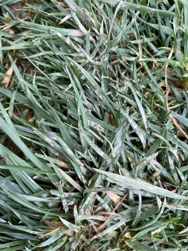 4DA4AA2D-6DE6-430F-A8C9-1EBCA136E920