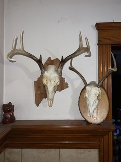 F9575306-5842-4DF1-A37E-D6D7468B295E