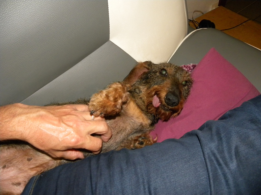 [Image: DSCN9467.jpg]