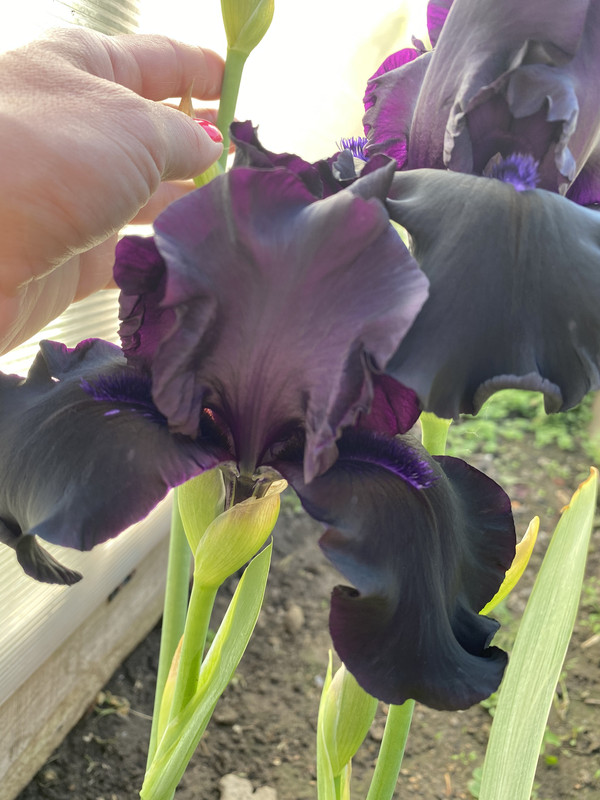 440F7E70-E6EF-4F5F-9713-8D71A81B2440