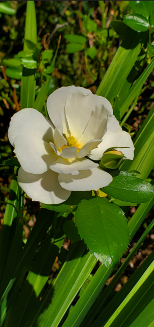 [Image: 20231007131703-Ky.png]