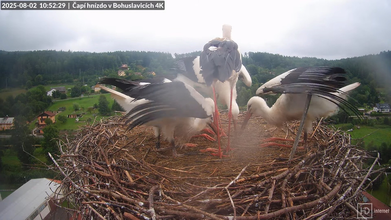 Tiešraide no KARA uzņēmuma stārķu skursteņa Bohuslavicē netālu no Trutnovas 15-29-43 screenshot