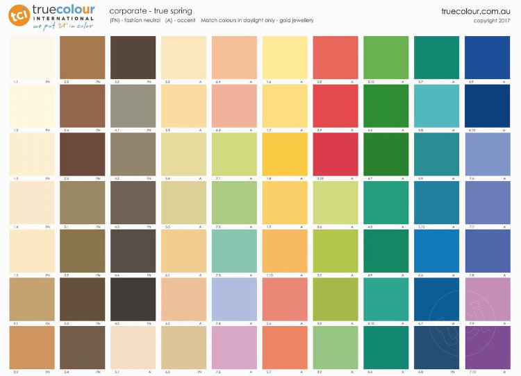 true-spring-corporate