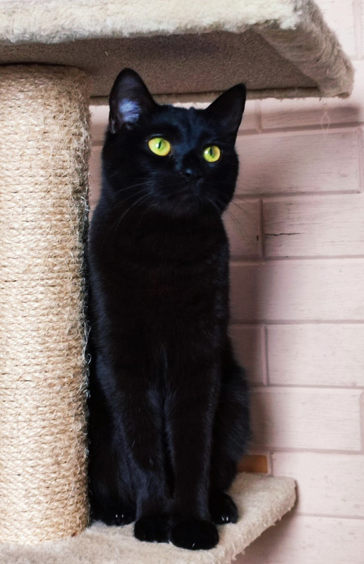 _9e0DcGyqgweiJ3kBAy9BIQunfzIHGxvO4M9mFmO1w-bN1X_upnQDWfF-c7jrgOPUwXdxNUmktBAtMPty0RYTKZT