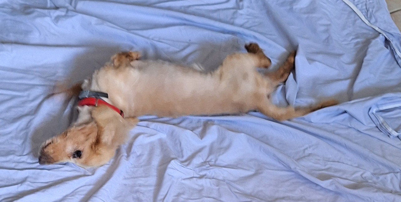 [Image: 20240315-103840.jpg]