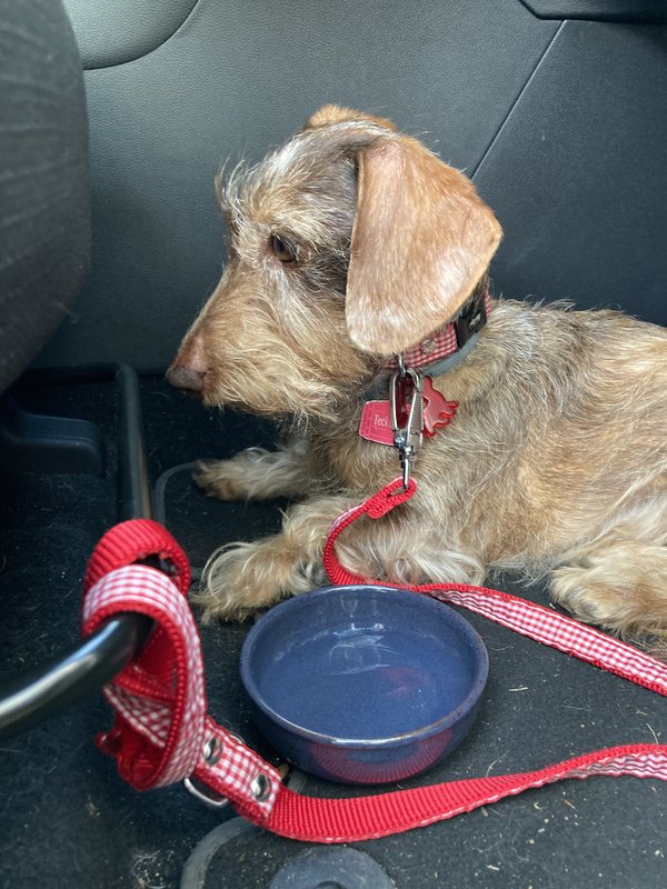 [Image: IMG-2449.jpg]