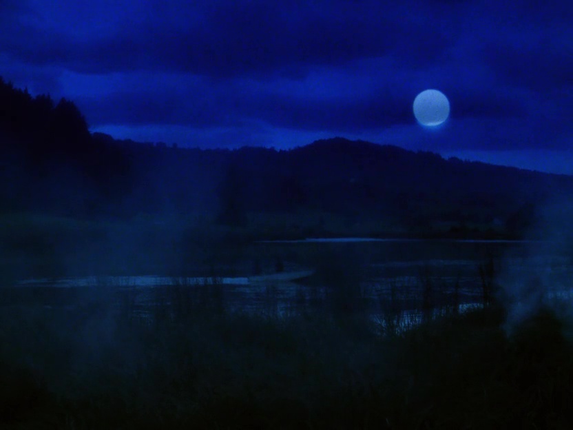 [Obrazek: vlcsnap-2025-09-26-18h24m37s949.jpg]