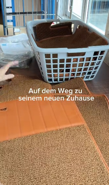 matten.jpg