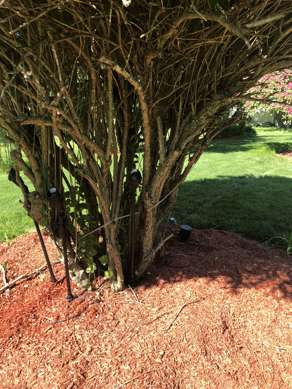 75F396FC-D5E3-4680-A4D9-C9171D45BEF6