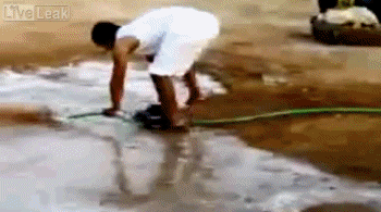 2819-F010-DB81-4-AEC-B3-A6-259-FA73-CDD4-F.gif