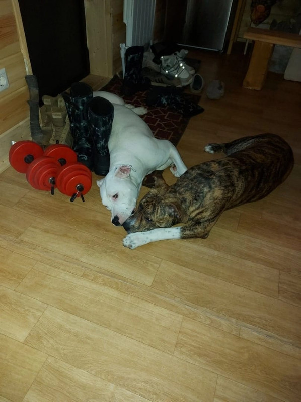 9E265ACA-ABE7-4448-9F1F-50127C510243