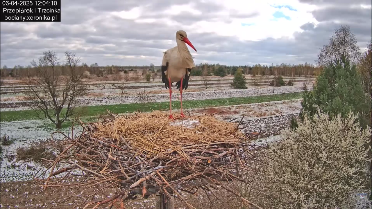 06042025minutazbocianem_16