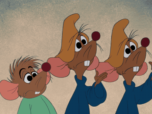 f4a4d87cdc14dd3ca3753e31e980c468.gif