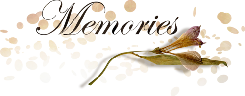 Siempre Libre & Glitters y Gifs Animados Nº370 - Página 61 160919070024995549