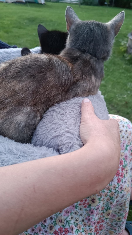 ПППППППППППППППППППППППППППППППППППППППП