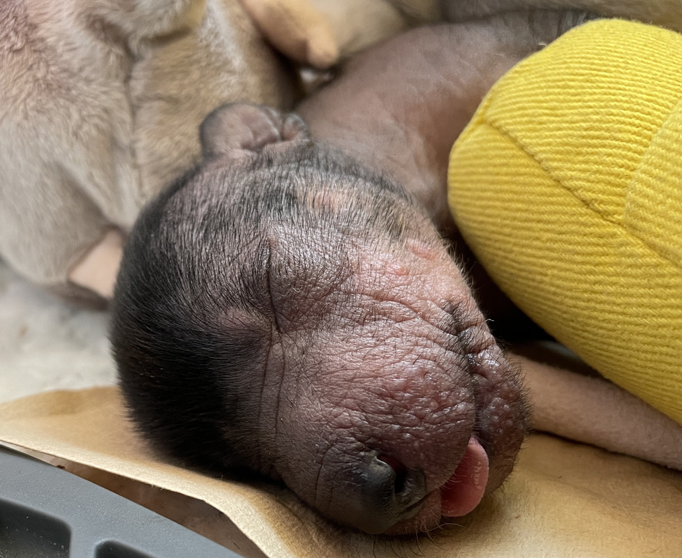 06167DF8-1152-4C32-AAF8-383C0A0F3359_1_201_a