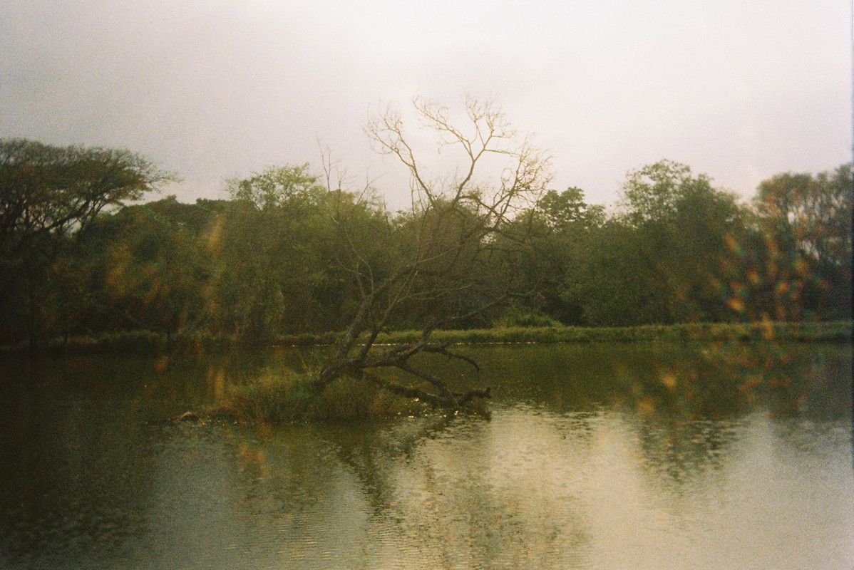 Kodak-UMHF-101-resize
