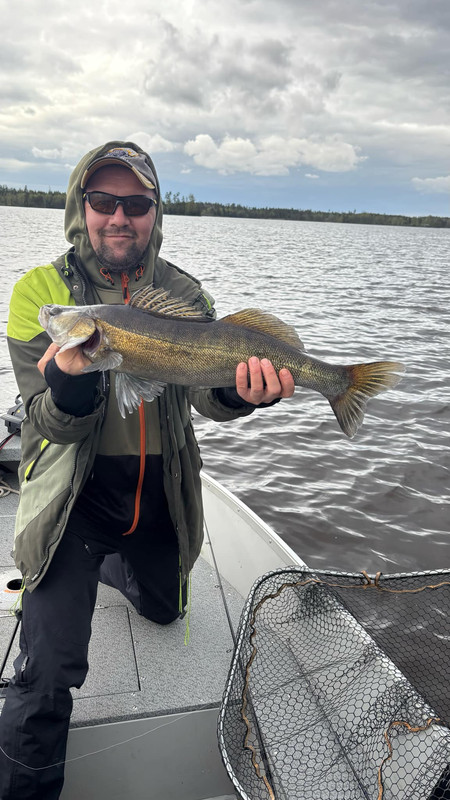 Messenger_creation_5842213E-143F-47F7-A8BA-48CACED3C58A