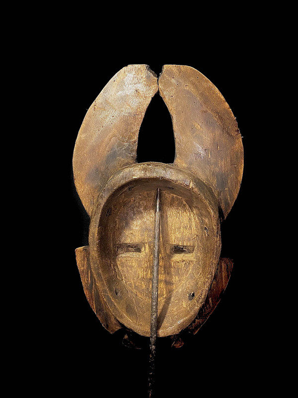 large image 11