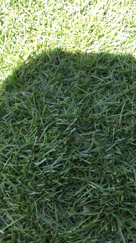 5FA0E373-1327-40F5-B3D3-F7B0B7221676