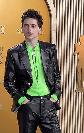 Timoth%C3%A9e_Chalamet.gif