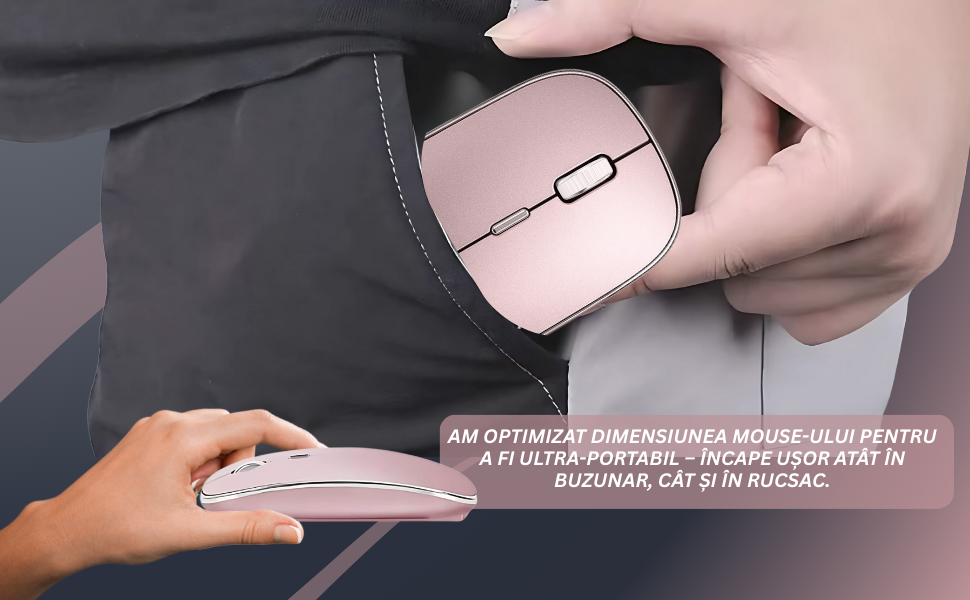 Mouse NETSTAT Prezentare 7
