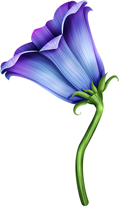 KBK_InTheSpring (95)