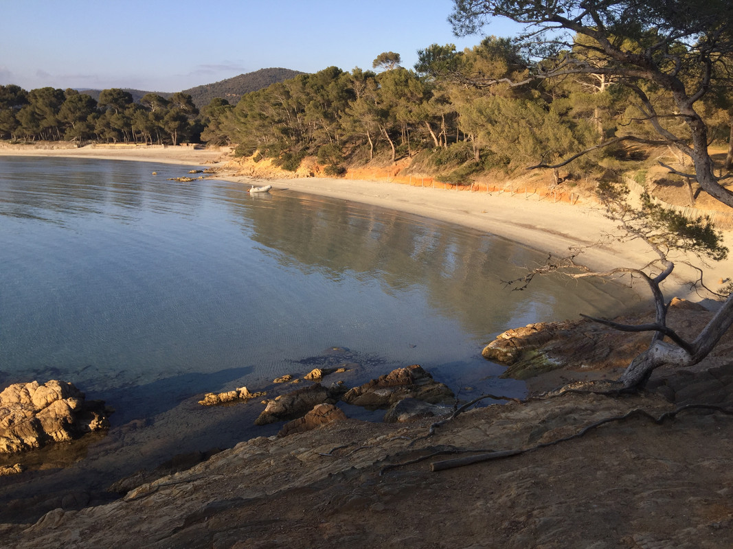 253831AF-1CD5-4DE8-8A29-9DA3923AF5C6