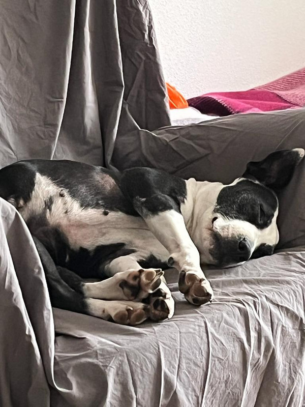 E6B360AC-CDD4-49AE-BC9C-5B31258940C9