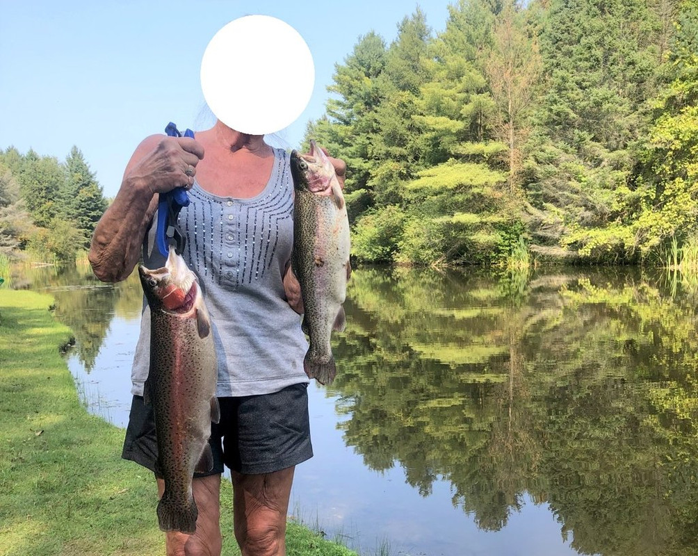 IMG_0779 (Large) - Copy